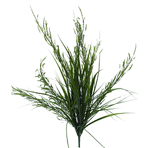 Διακοσμητικά λουλούδια Herbes