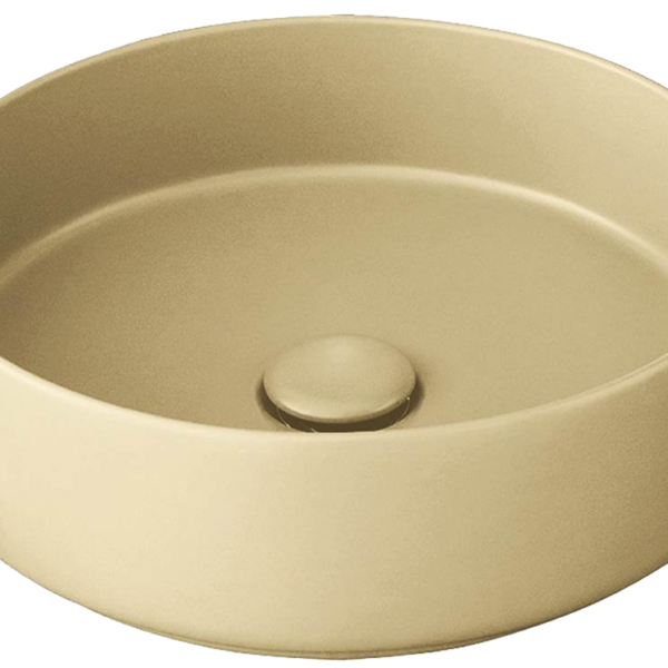 scholat40
