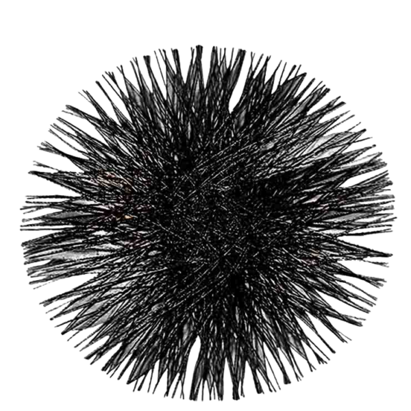 Σουπλά Dandelion black