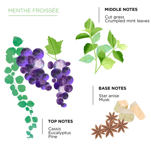 white-senteur-menthe-the-en-o