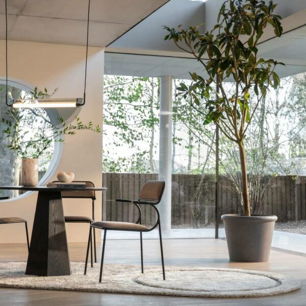 Carpet Spark - Beige, 160x300