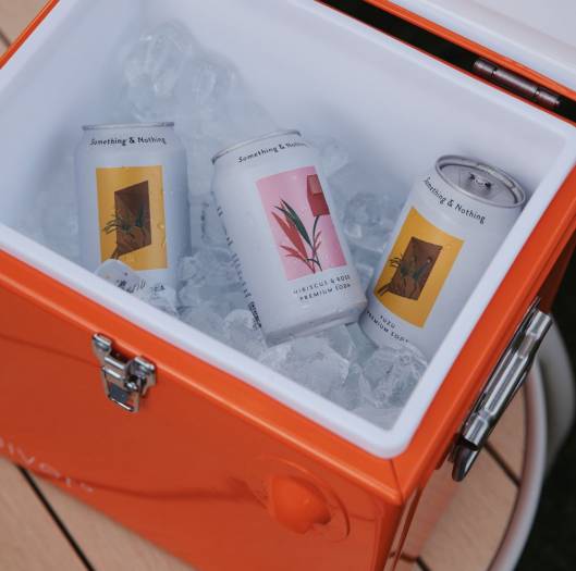 Cooler Be Cute – Orange, 32x25xH33