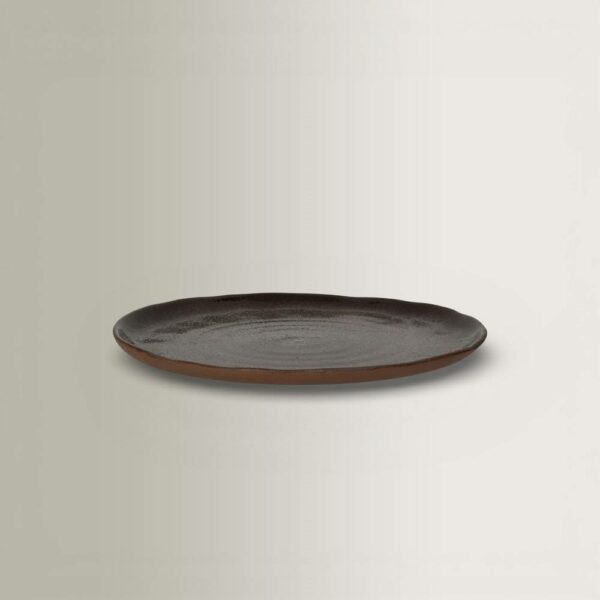 Set/6 Cycle Dinner Plates - Stoneware, D27