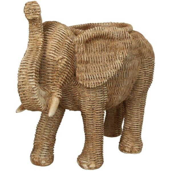 Κασπώ Elephant - Natural, 32x16x24