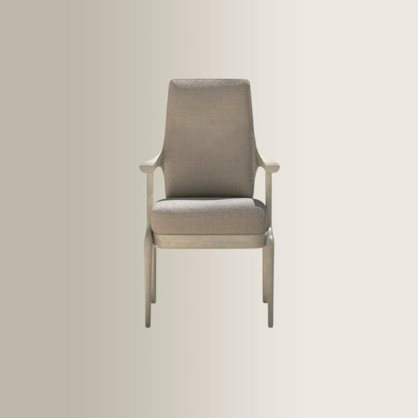 Thara Armchair - Grey