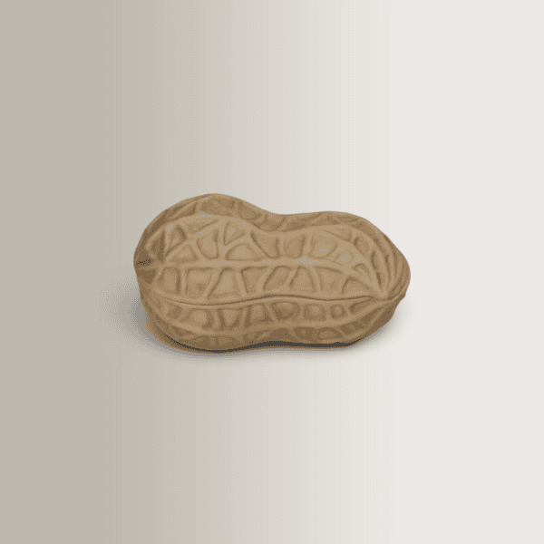 Διακοσμητικό Δοχείο Peanut