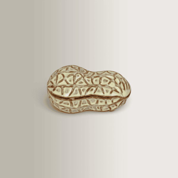 Διακοσμητικό Δοχείο Peanut Καφέ