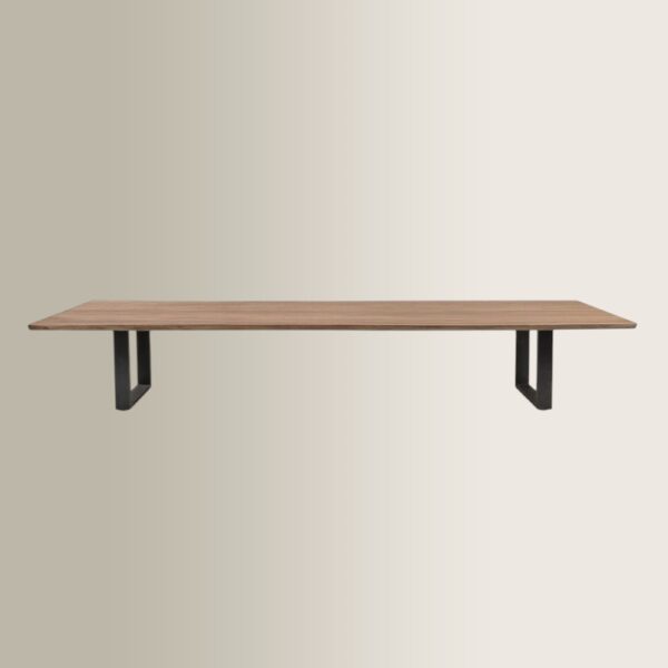 Border Wooden Table 300x110 cm