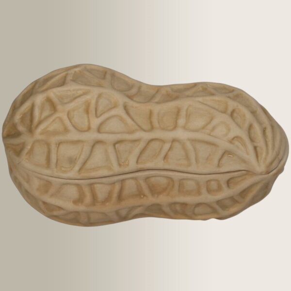 Διακοσμητικό Δοχείο Peanut