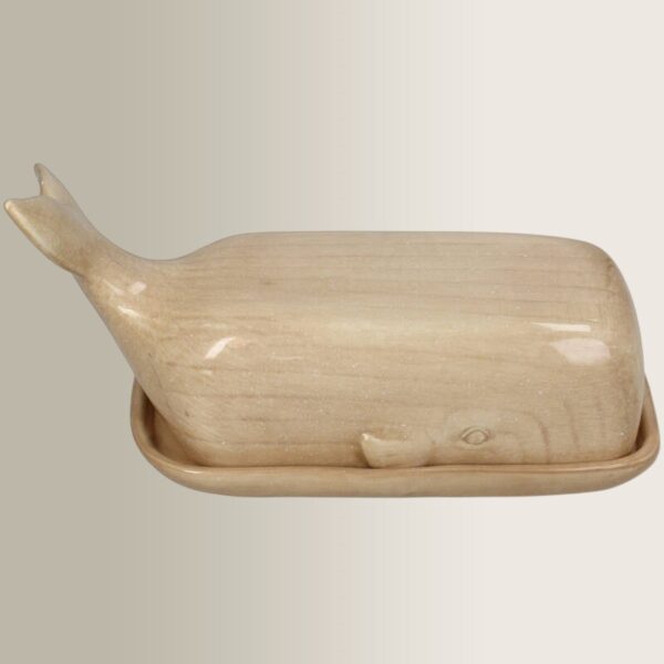 Δίσκος με Καπάκι Whale