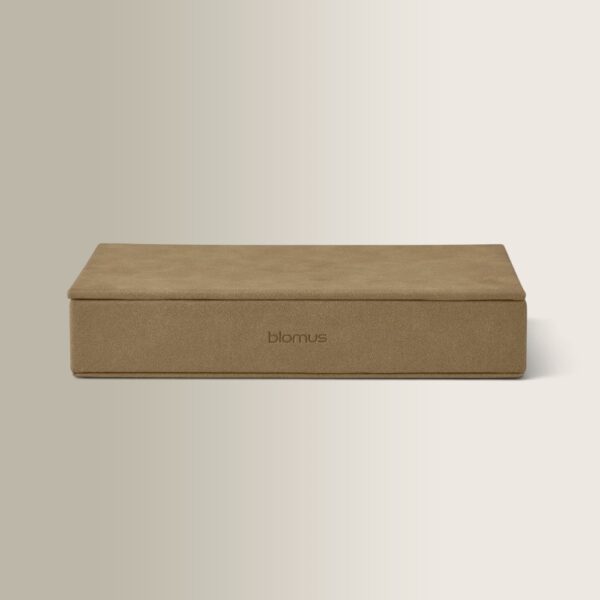 Sahla Indian Tan Jewelry Box